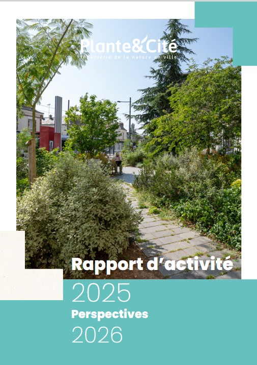 Rapport activité 2025